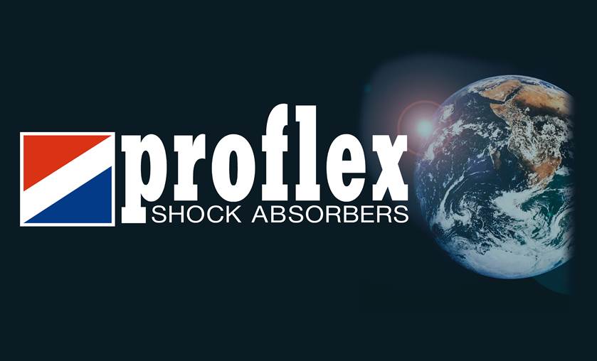 Logo Proflex